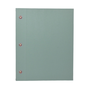 CARPETA N° 3 PVC FORRADA 2 TAPAS VERDE AGUA AVIOS