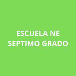 Lista Escolar Septimo Grado Colegio NE A-1216